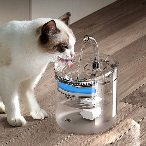 Smart Cat Water Fountain